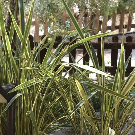 Panzió Villa Amoru Castro By Hdsalento 4*