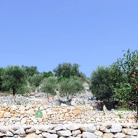 Alojamento de Acomodação e Pequeno-almoço Villa Amoru Castro By Hdsalento 4*