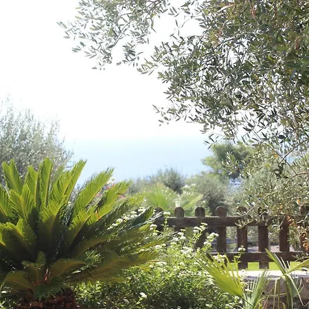 Bed & Breakfast Amoru