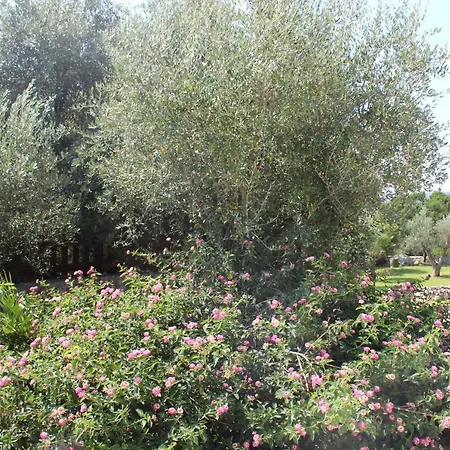 Villa Amoru Castro By Hdsalento Castro (Lecce)